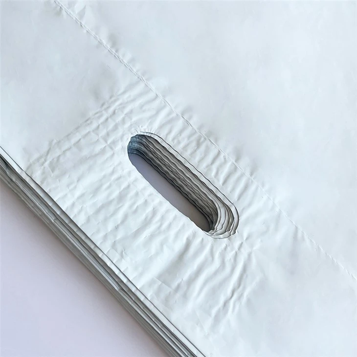 Reusable handbag mailing bag